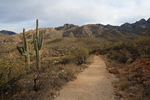 photo thumbnail #8