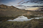 photo thumbnail #1