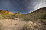 photo thumbnail #7