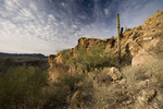 photo thumbnail #8