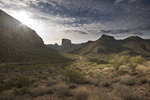 photo thumbnail #10