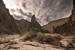photo thumbnail #14