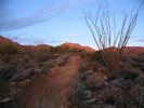 photo thumbnail #2