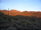 photo thumbnail #5