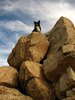 photo thumbnail #9