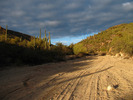 photo thumbnail #10