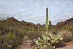 photo thumbnail #7