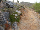 photo thumbnail #8