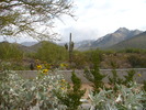 photo thumbnail #11