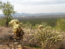 photo thumbnail #14