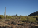 photo thumbnail #1