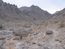 photo thumbnail #13