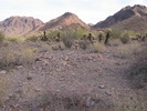 photo thumbnail #1