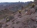 photo thumbnail #4