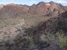photo thumbnail #14