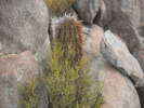 photo thumbnail #9