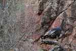 photo thumbnail #1