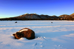 photo thumbnail #1