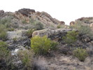 photo thumbnail #4