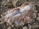 photo thumbnail #8