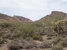 photo thumbnail #2