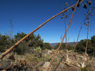 photo thumbnail #13