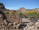 photo thumbnail #2