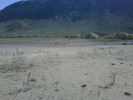 photo thumbnail #12