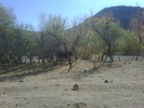 photo thumbnail #13