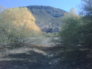 photo thumbnail #14