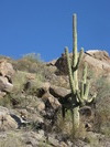 photo thumbnail #2