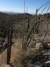 photo thumbnail #5