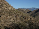 photo thumbnail #6