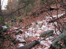 photo thumbnail #7