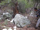 photo thumbnail #8