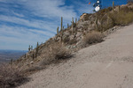 photo thumbnail #7