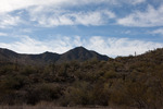 photo thumbnail #12