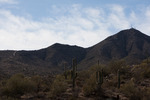 photo thumbnail #13