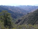 photo thumbnail #3