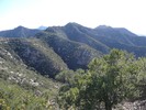 photo thumbnail #4