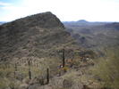 photo thumbnail #9