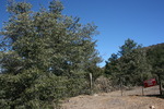 photo thumbnail #5