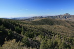 photo thumbnail #8