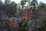 photo thumbnail #9