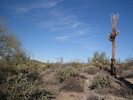photo thumbnail #15