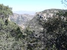 photo thumbnail #12