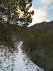 photo thumbnail #13