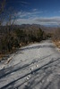 photo thumbnail #11
