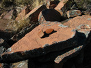 photo thumbnail #15