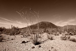 photo thumbnail #7